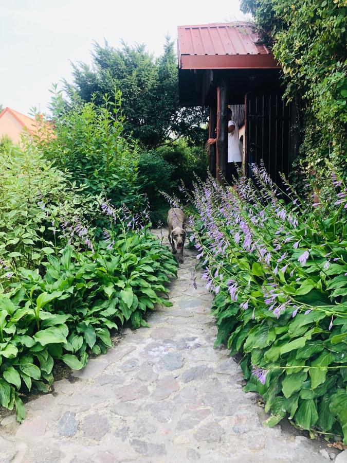 Spokojny Zaulek Ulinia Dış mekan fotoğraf